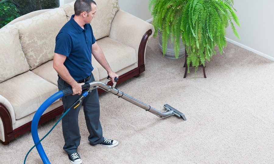 Top 7 Reasons Why to Hire a Professional Carpet Cleaner