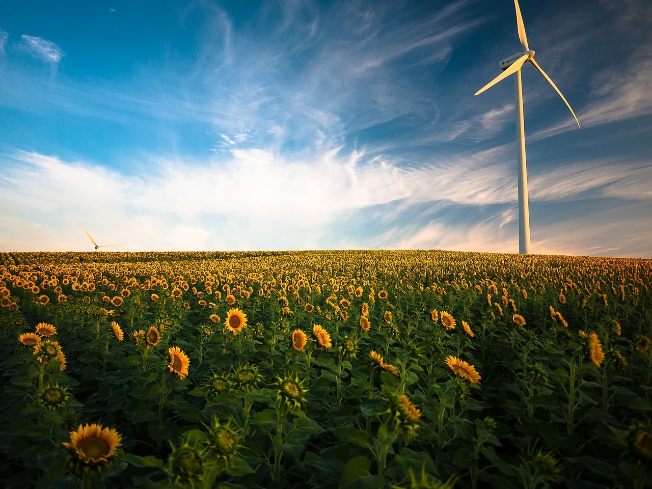 4 Ways To Power Your Home with Renewable Energy