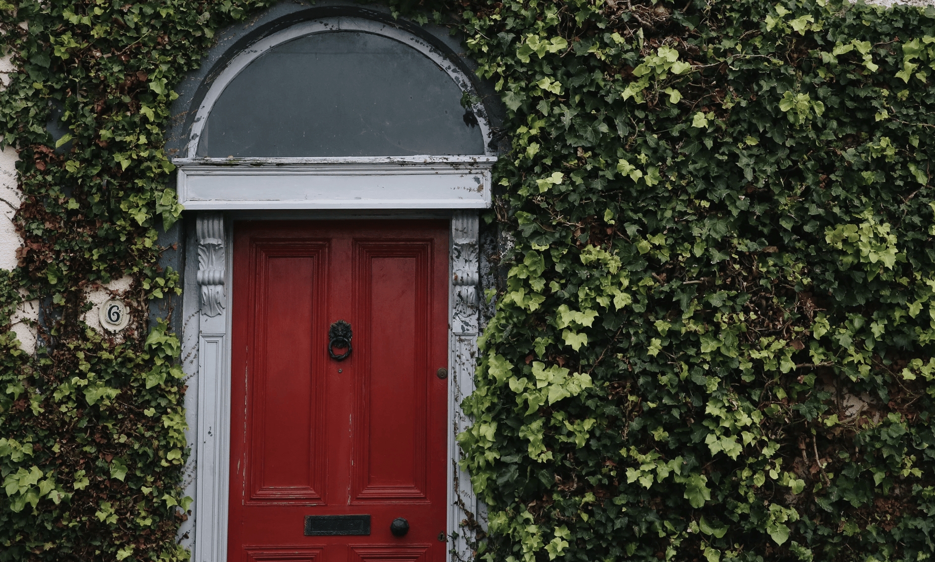 How to Choose the Perfect Wooden Door Frame