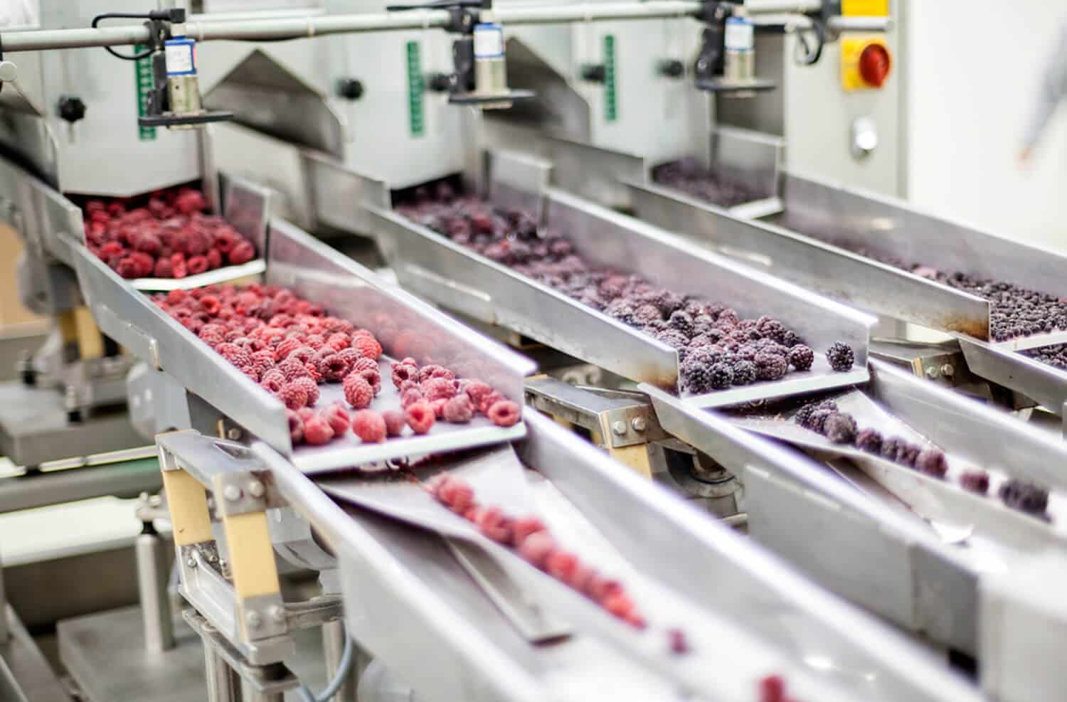 Tips for Improving Operating Efficiency in Food Processing