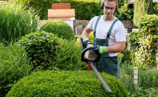 What Are the Most Important Aspects of Landscape Maintenance?