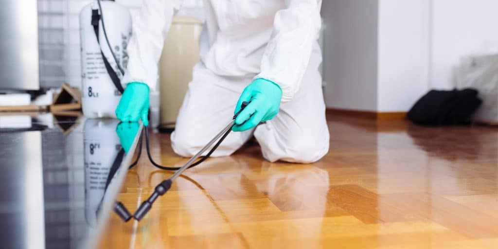 Got a Pest Problem? 6 Ways To Prepare for a Visit From the Exterminator
