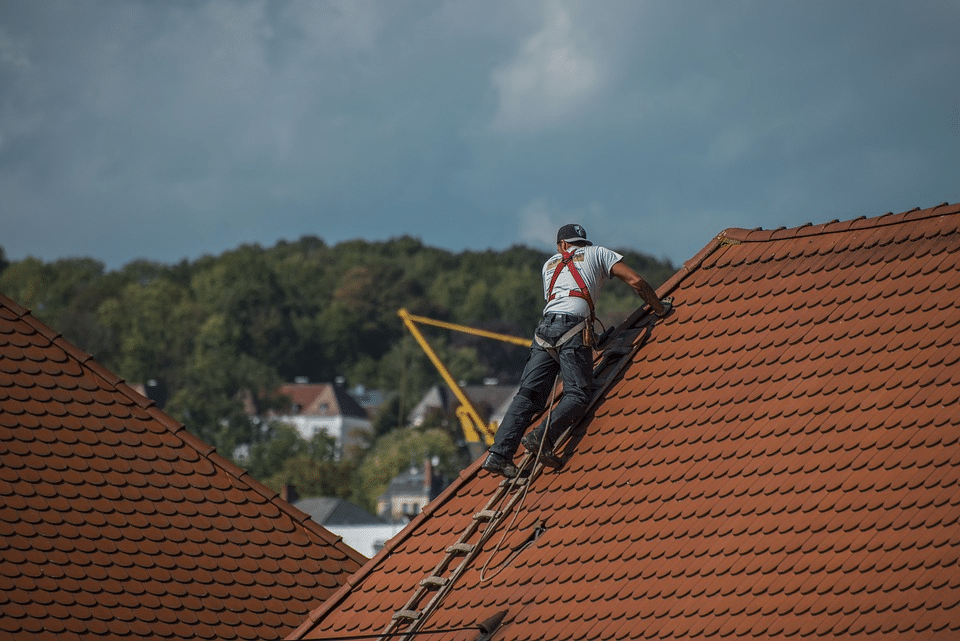 Roofing Materials 101: What You Need to Know Before Choosing