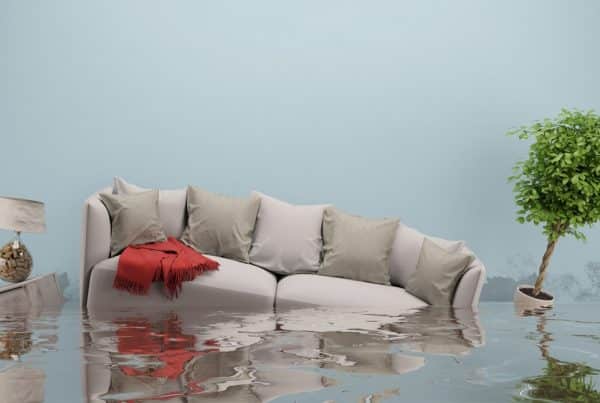 The Essential Guide To Water Damage Restoration for Property Management
