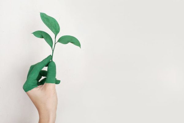 What Does It Mean to Go Green in Business?