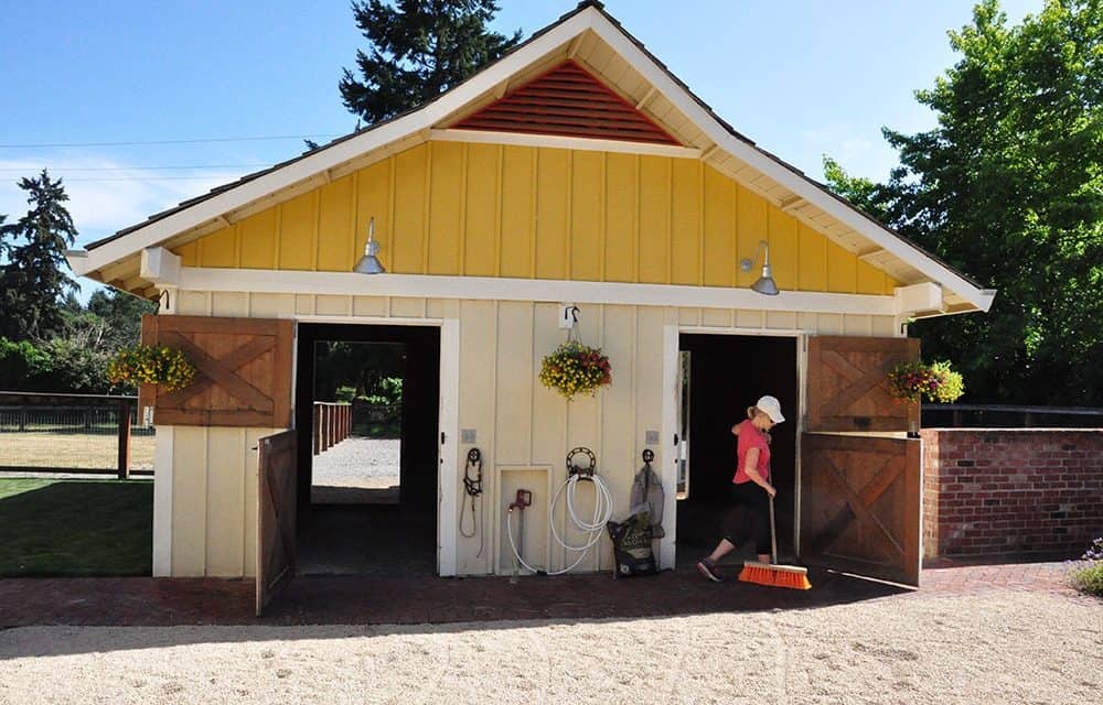 From Stable to Style: 5 Ways to Transforming Your Equestrian Home