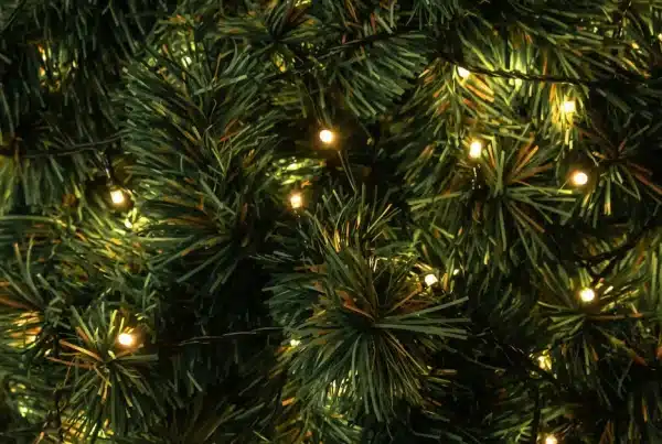 Sustainable Celebrations: The Shift to Energy Efficient Christmas Lights