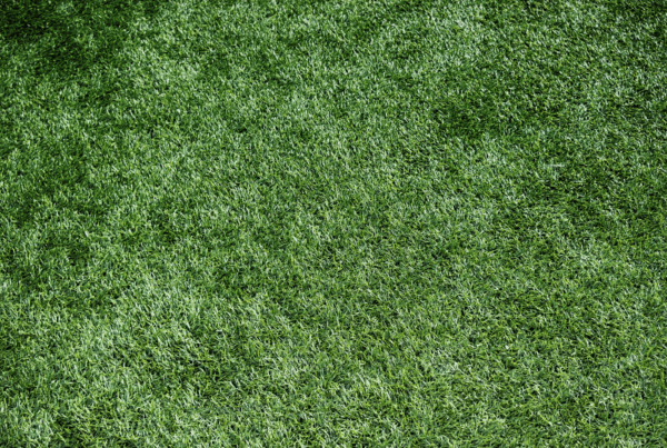 Will Artificial Grass Add Value or Reduce the Value of My Home?