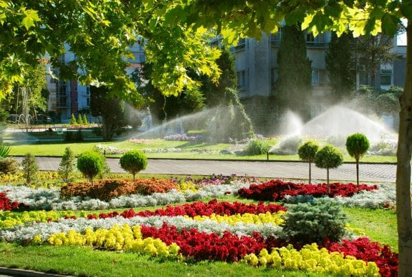 Best Practices for Landscape Supplies in Adelaide