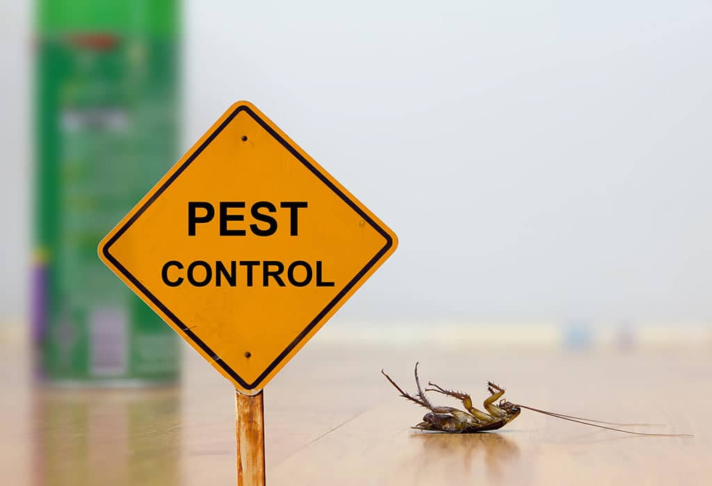 Huntsville Professional Pest Control Services